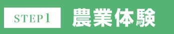 STEP1 農業体験