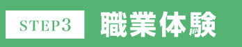 STEP3 職業体験